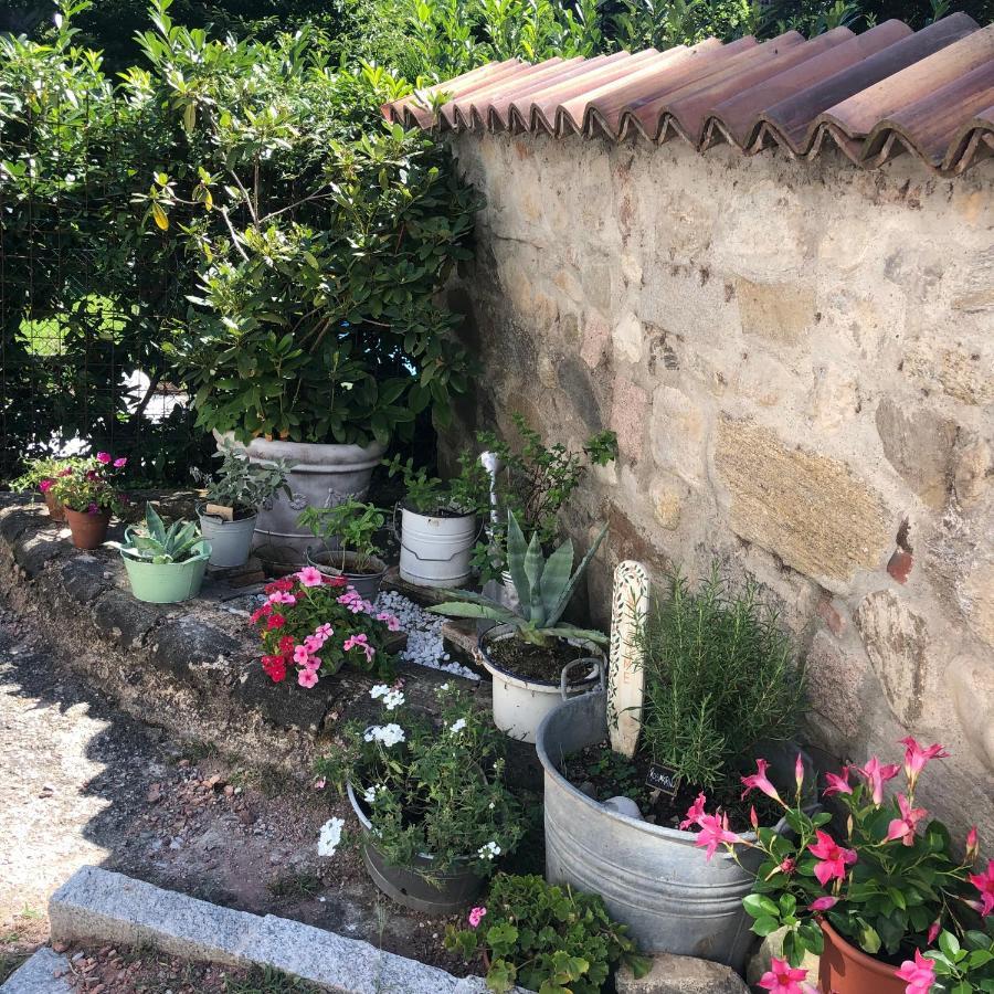 Casa Nonna Elide 2 Besozzo Exterior foto